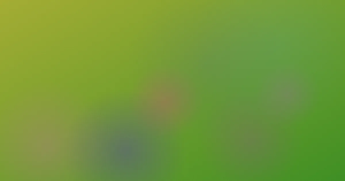 黄网视频推荐：新手安全清单